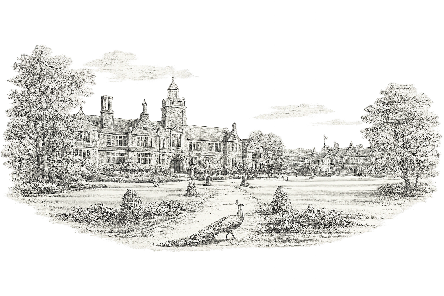 Whitgift School, Croydon — pencil illustration of the main building, parkland and a peacock